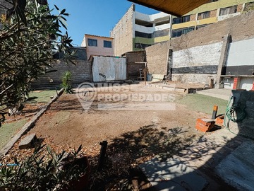 Imagen 6