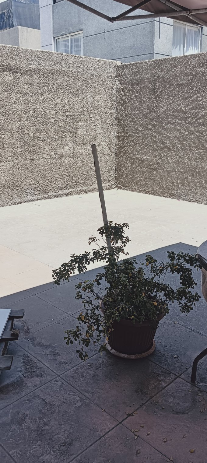 Terraza patio del 1er piso