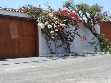 Arriendo Mensual / Casa / Arica