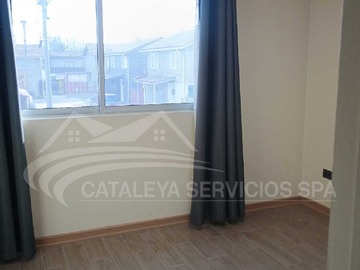 Imagen 19