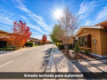 Imagen 23