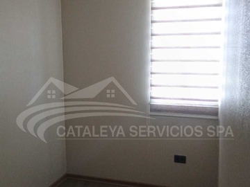 Imagen 15
