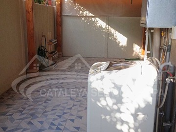 Imagen 5