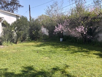 Imagen 21