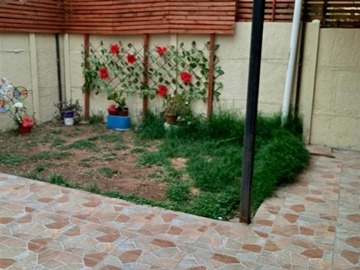 Imagen 19