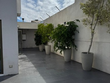 Imagen 15