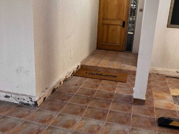 Imagen 11
