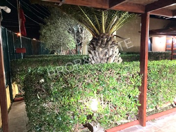 Imagen 5