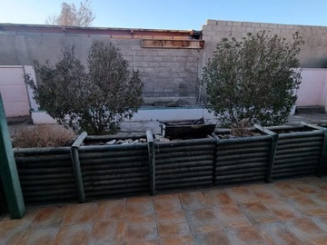Imagen 25