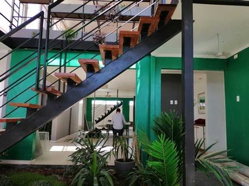 Imagen 12