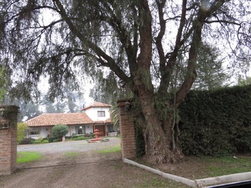 Imagen 28