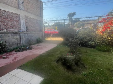 Imagen 25