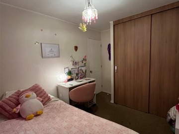 Imagen 6