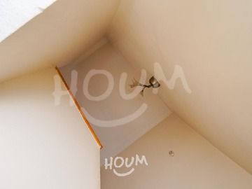 Imagen 29