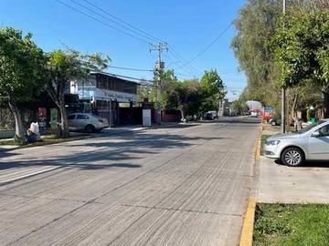Imagen 15