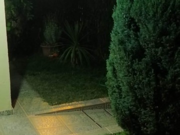 Arriendo Mensual / Casa / Chillán