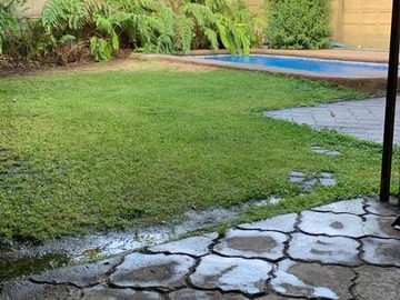 Imagen 11