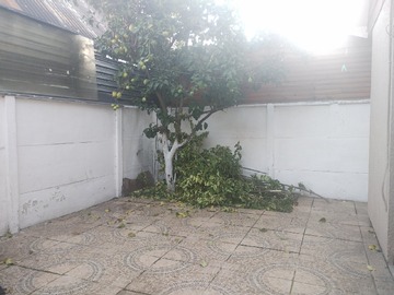 Imagen 20