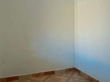 Imagen 7