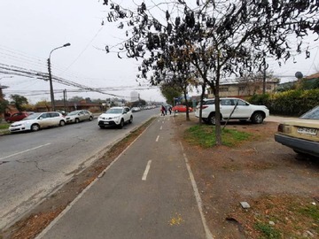 Imagen 14