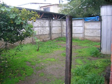 Imagen 7