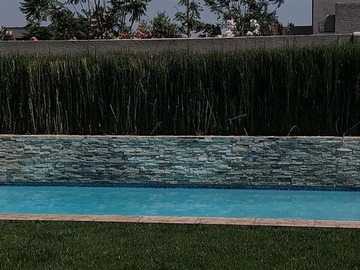 Imagen 31