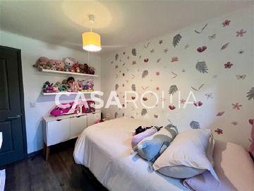 Imagen 23