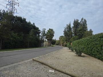 Imagen 18