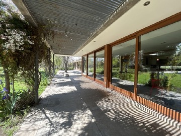 Imagen 21
