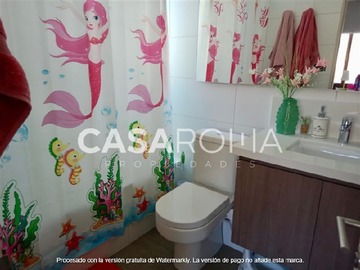 Imagen 16