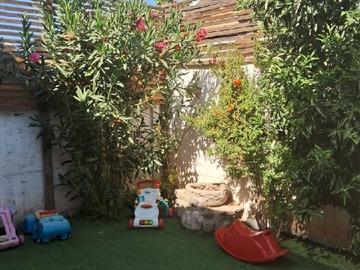 Imagen 16