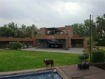 Imagen 5