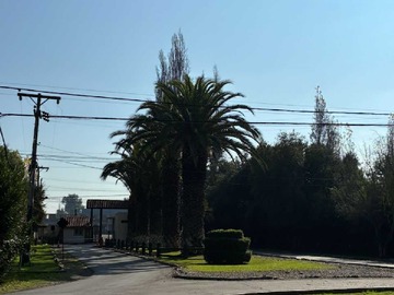 Imagen 8