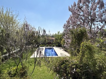 Imagen 23