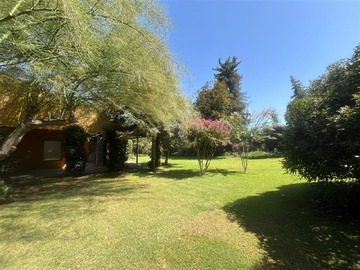 Imagen 28