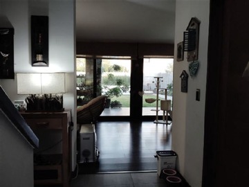 Imagen 5