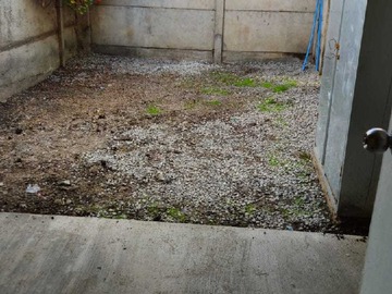 Imagen 8