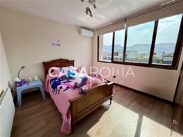 Imagen 15