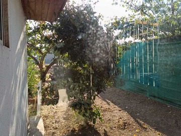 Imagen 13