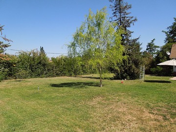 Imagen 19