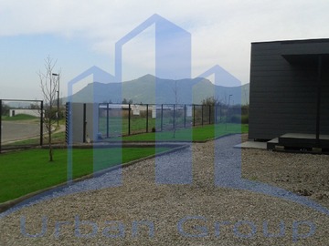 Imagen 21