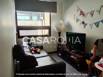 Imagen 11