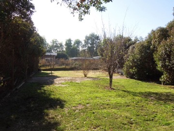 Imagen 16