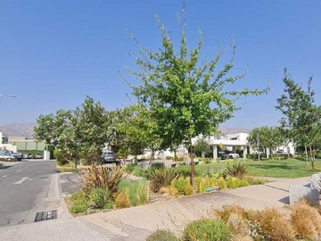 Arriendo Mensual / Casa / Colina