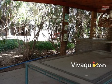 Imagen 12