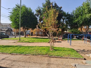 Imagen 24