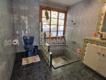 Imagen 8