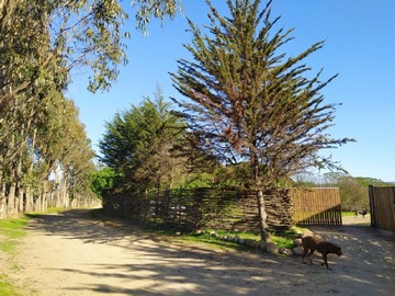 Arriendo Mensual / Casa / Concón