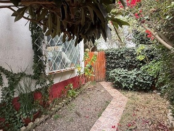 Imagen 12