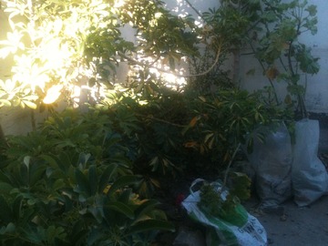 Imagen 9